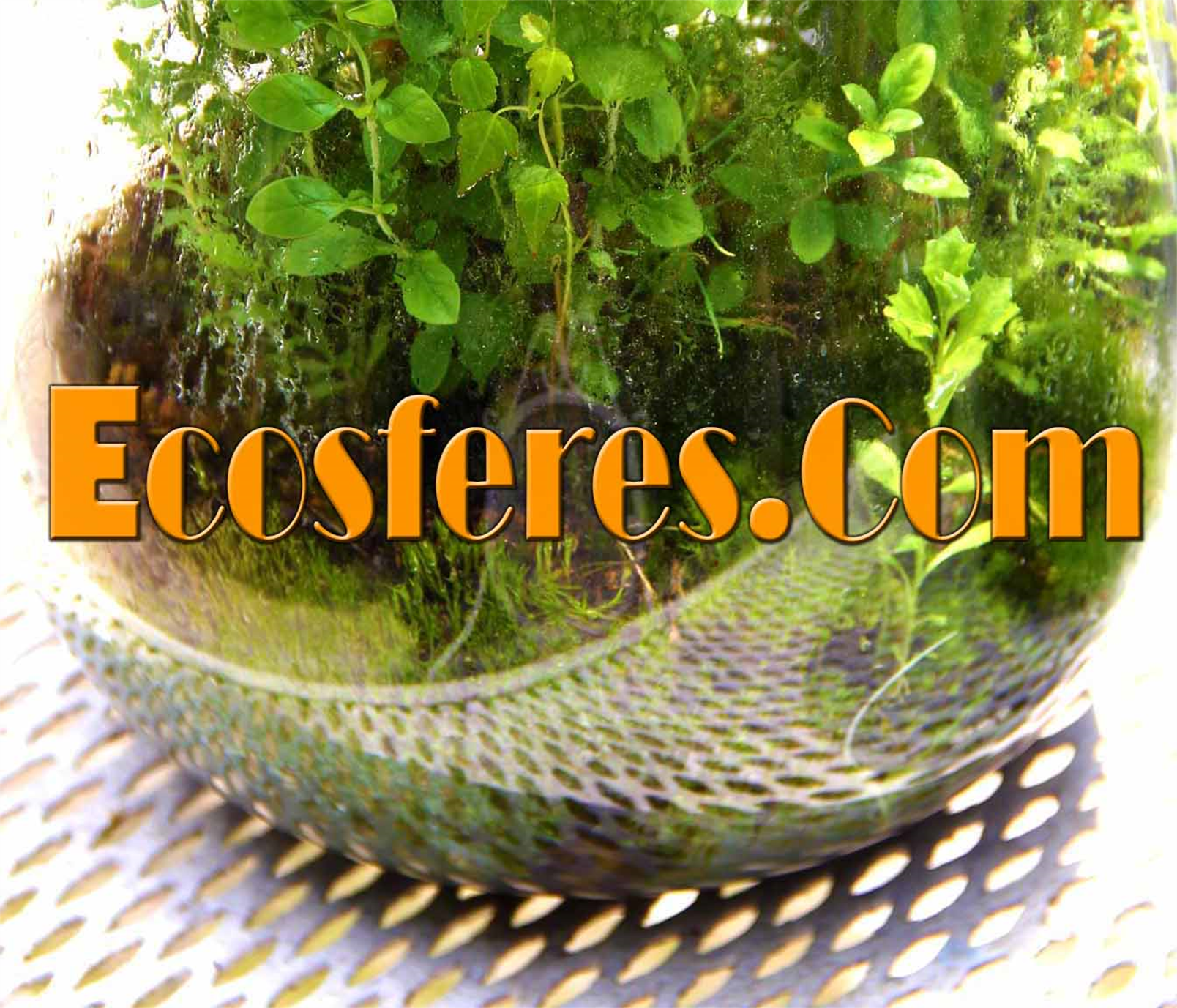 Ecosferes Living Worlds